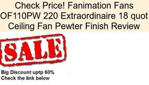 Fanimation Fans OF110PW 220 Extraordinaire 18 quot Ceiling Fan Pewter Finish Review