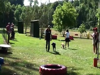 Beauceron 4B Brevet Halfa 23 Aout 2009