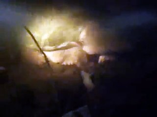 The Giant Snapping Turtle they call Fillip