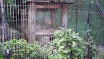 【福岡市動物園】 Fukuoka City Zoological Garden