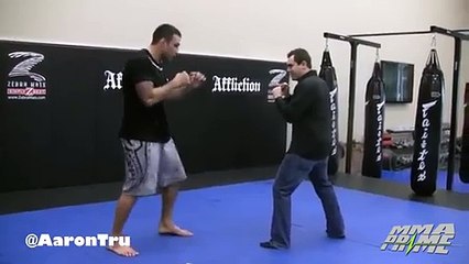 UFC Champion Fabricio Werdum KO kicks Reporter