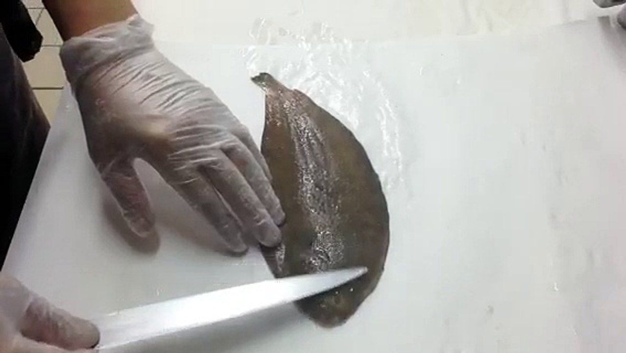 SOLE