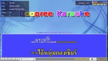 ไอ้หนุ่มกองเชียร์ วงดนตรี เว็บไซต์ มิวสิค คาราโอเกะ remix karaoke