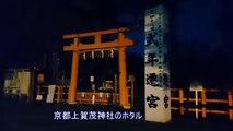 Sony Xperia z2  ホタルもバッチリ高感度　京都上賀茂神社のホタル