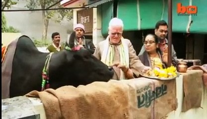 Indians Drinking Cow Urine to Fight Against Pakistan