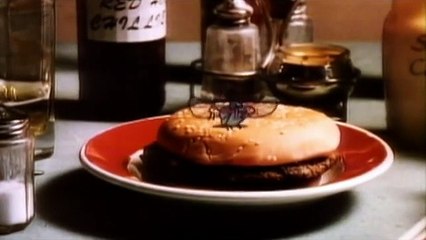 ACDC - Fly On The Wall