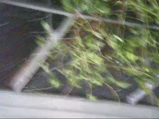 Kumanovo nevreme (poplava i grad)