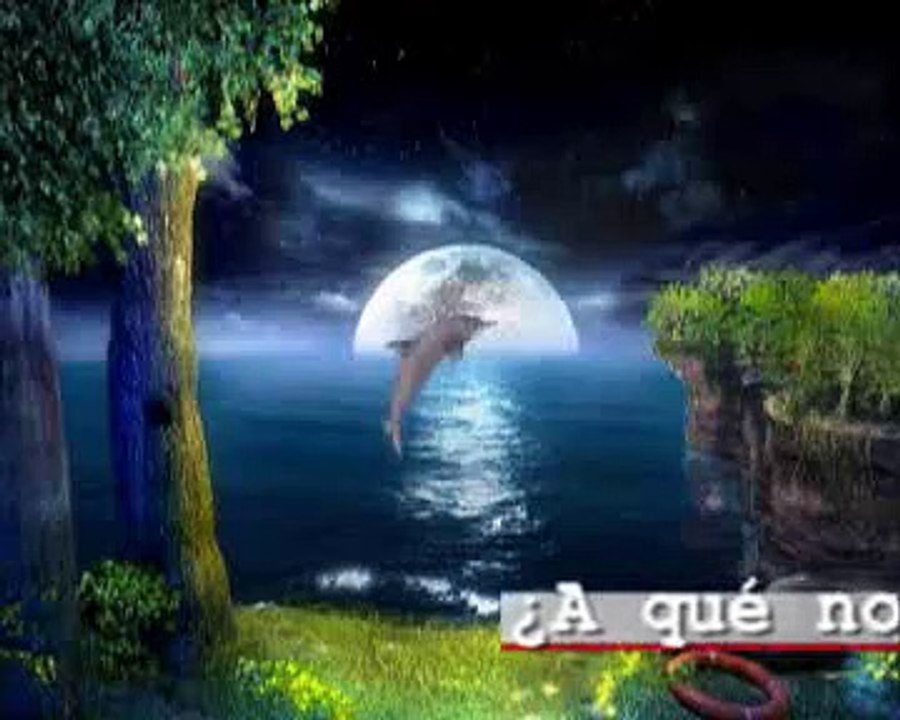 Coaching Inteligencia Emocional  PNL www.mhrp.net    mhrp