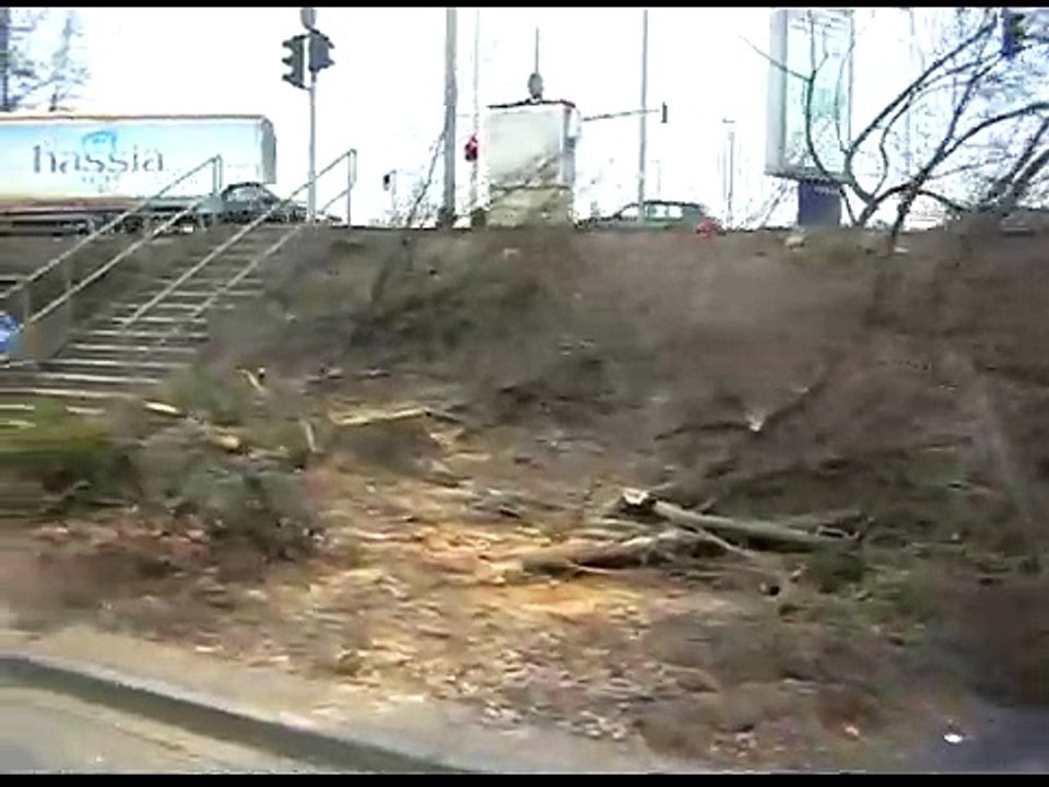 Die grüne Symphonie von Offenbach am Main  2009