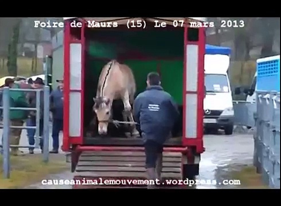 Foire aux chevaux de Maurs (15) le 07 mars 2013