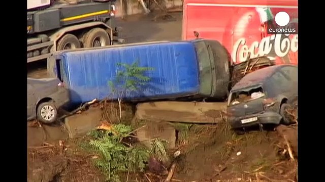 Наводнение в Тбилиси: человеческие жертвы и массовое бегство животных из зоопарка (euronews)