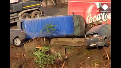 Наводнение в Тбилиси:  человеческие жертвы и массовое бегство животных из зоопарка (euronews)