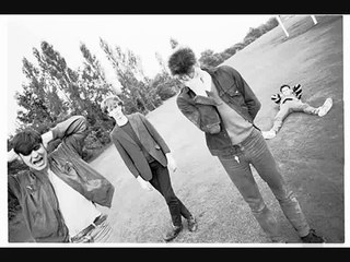 The chameleons/second skin