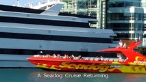 Navy Pier's Cruise Boats Viewed From Lake Michigan, Chicago