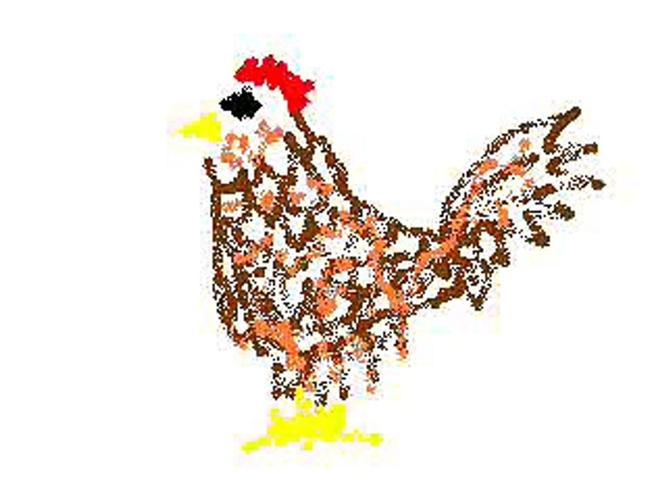 the chicken song