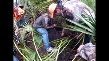 Hog Hunting with Dogs in Florida