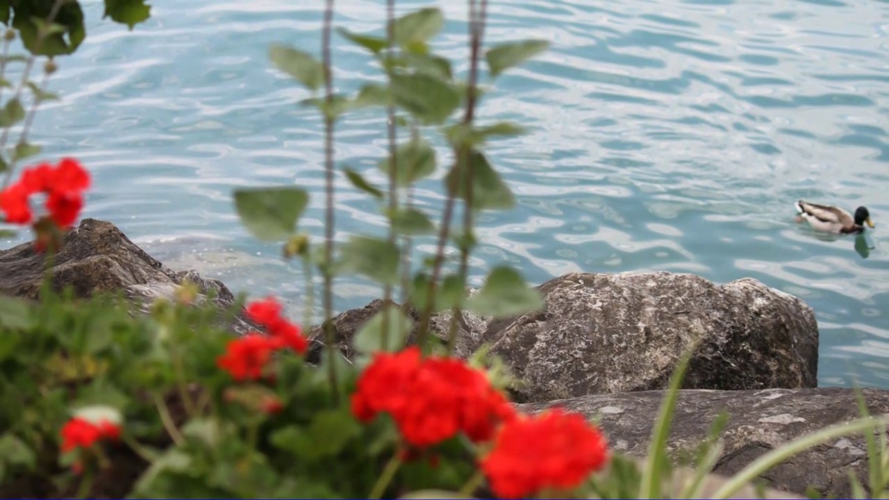 Lausanne - Montreux 24 mai