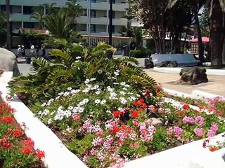 Tenerife - Puerto de la Cruz