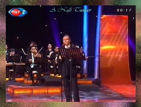 Vedat ÇETİNKAYA *Gönlüm Özledikce Görürdüm Hele*