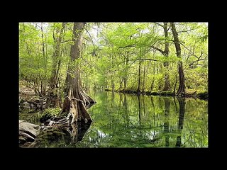 2010 Ex Hacienda Santa Engracia Ejido B. J. Mpio. de Hidalgo, Tamaulipas