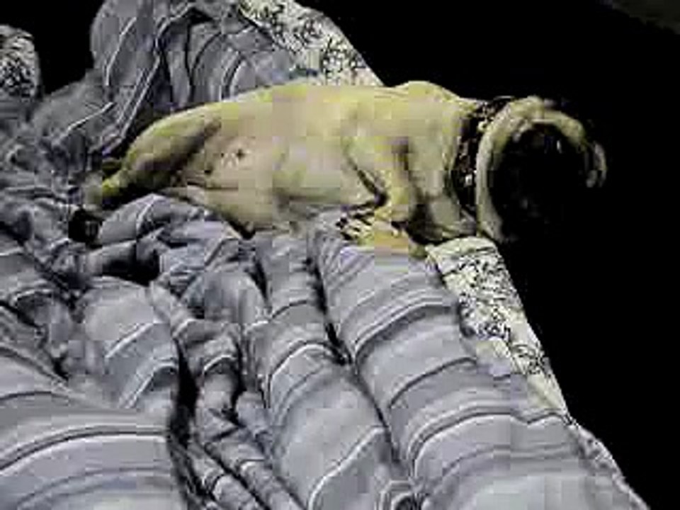 Caught Snoring Again, Sleeping with One Eye Open!!