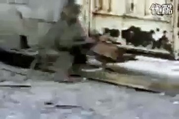 monkey theif the Hen mindblowing work