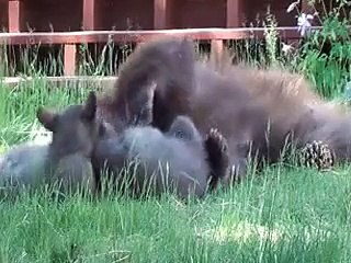 All Moms love their babies