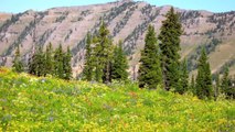 GRAND TETONS NATIONAL PARK  (Backpacking the Teton Crest Trail)