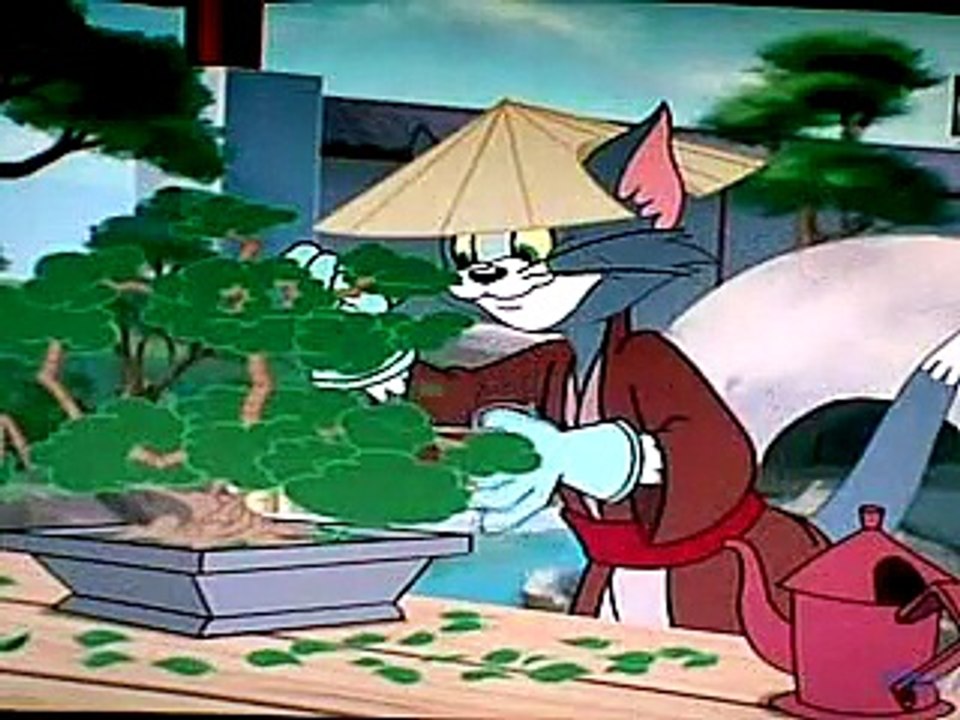 Tom and Jerry Cartoon Network ]
