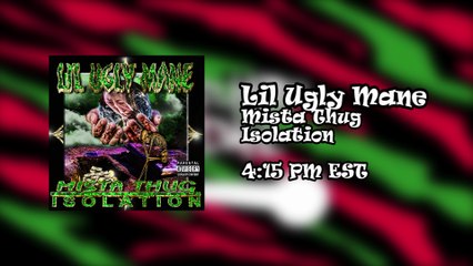 2015 Summer /mu/chellapaloozaroo: Line-up Promo