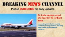 Lizard found in Air India's in-flight meal on Delhi-London flight - Times of India Reports