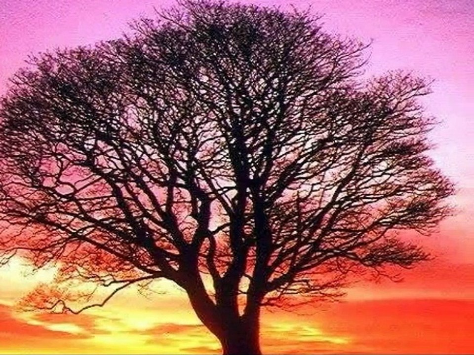 ANLATIR BIZI ZAMAN-ARIF KARA