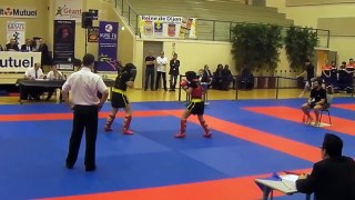 Sansao Kung Fu Club Lyon - Qingda - Sanda semi-contact