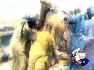 Camel's leg gets stuck in a crack in bridge of Sukhhar Bairaj-Geo Reports-14 Jun 2015