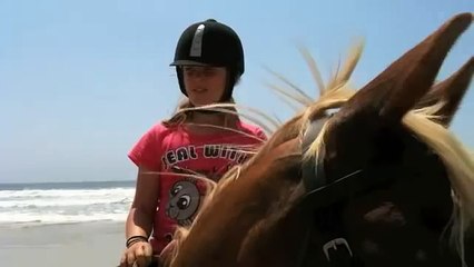 Horse riding on the beach