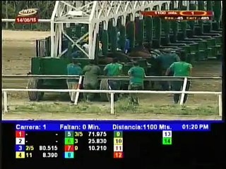 La Rinconada 1a Carrera 14-06-2015