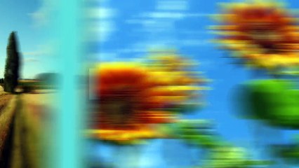 After Effects Project Files - Fast Clean Slideshow - VideoHive 10578211