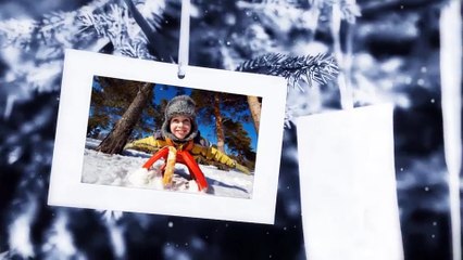 After Effects Project Files - Photo Gallery On The Spruce Winter - VideoHive 8936211
