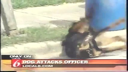 Dog Attacks Police Officer And Gets Tazered: (Caught on Camera)