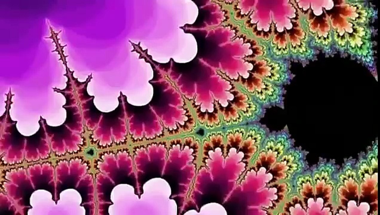 Fractals   The Hidden Dimension