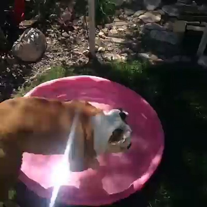 Me this summer by Funny vines