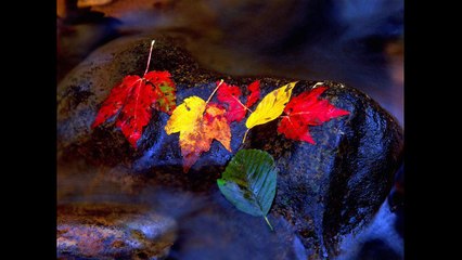 نوروز، نغمه شادمانه سرنا و کرنا