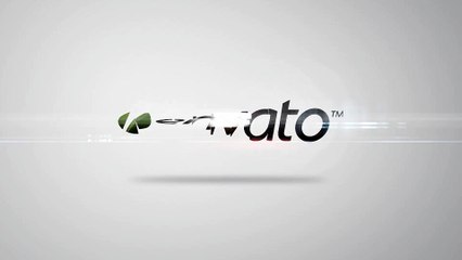 After Effects Project Files - Clean And Simple Logo Reveal - VideoHive 9140639