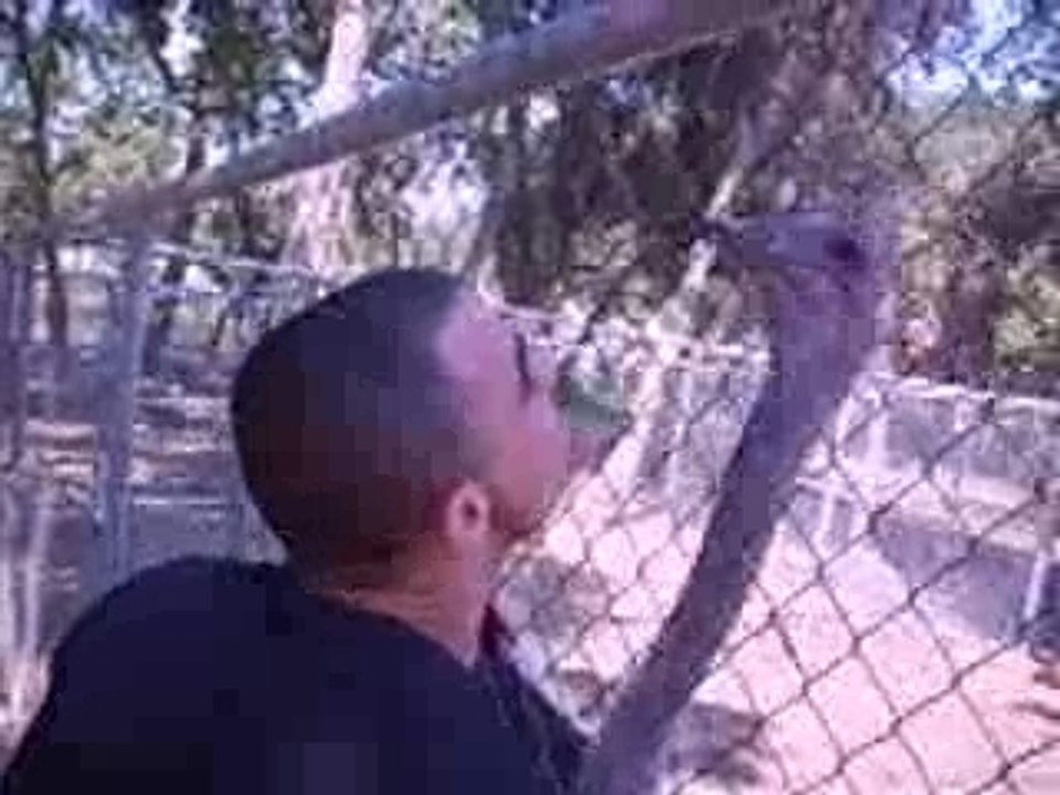 kader au zoo