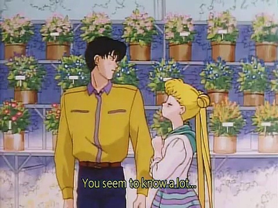 Usagi and Mamoru Funny moment