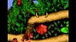 GBZ Gameplay - Donkey Kong Country (GBC)