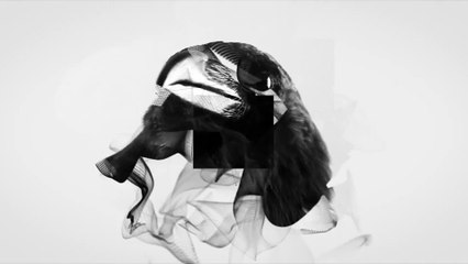 After Effects Project Files - Raven Logo - VideoHive 8935710