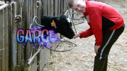 Seb la Frite - Les mots composés chelous