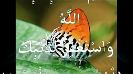 miracle d'Allah dans l'univers معجزة الله في الكون