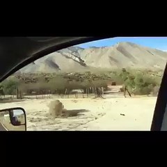 بث تجريبي للمواطن التونسي قبل شقان الفطر ههععع